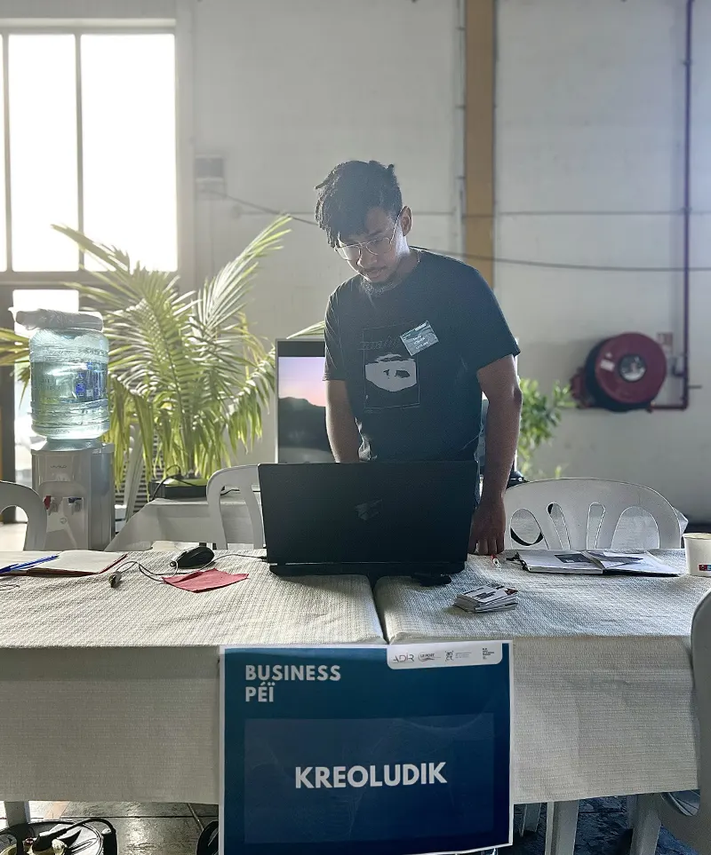 Illustration du professionnalisme de Kreoludik